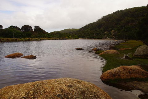 Private Tours From Melbourne - Dalby Accommodation 2