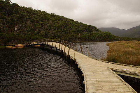 Private Tours From Melbourne - Dalby Accommodation 3