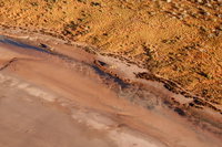 Scenic Flight Lizard Safari, Uluru