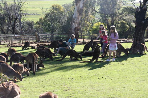 The Port Arthur MEGA Day Trip From Hobart - Dalby Accommodation 5