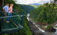Skyrail & Kuranda Train Day Trip From Cairns - thumb 1