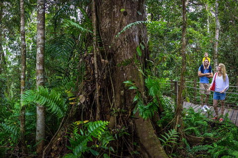 Kuranda Day Tour + HotAir Balloon Combo - Dalby Accommodation 3