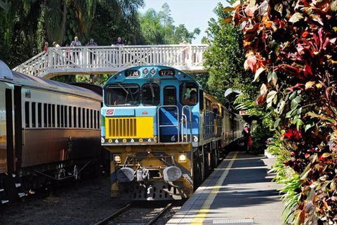 Kuranda Day Tour + HotAir Balloon Combo - Dalby Accommodation 4
