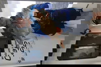 3/4 Day 7 Hour Offshore Fishing Charter, Noosa