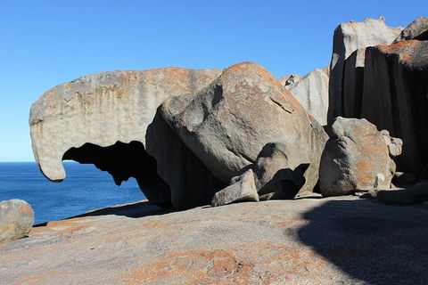 Kangaroo Island Personal Group Tours - Dalby Accommodation 2