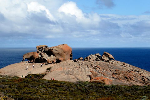 Kangaroo Island Personal Group Tours - Dalby Accommodation 5