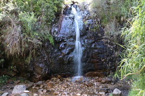 Mount Lofty Hike And Cleland Wildlife Park Day Trip From Adelaide - Dalby Accommodation 4