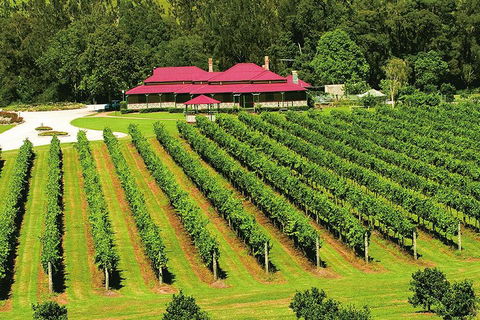 O'Reilly's & Lamington National Park From Brisbane - Dalby Accommodation 2