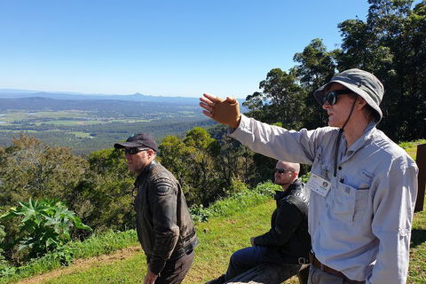 O'Reilly's & Lamington National Park From Brisbane - Dalby Accommodation 4
