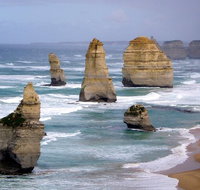 LGBT Friendly 2 Day Private Tour Great Ocean Road  Phillip Island - Dalby Accommodation