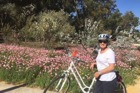 Perth Bike Tour - Beautiful Matilda Bay And Kings Park - Dalby Accommodation 1