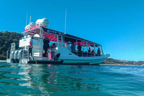 Best Of Moreton Bay Cruise - Dalby Accommodation 0