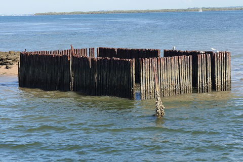 Best Of Moreton Bay Cruise - Dalby Accommodation 1