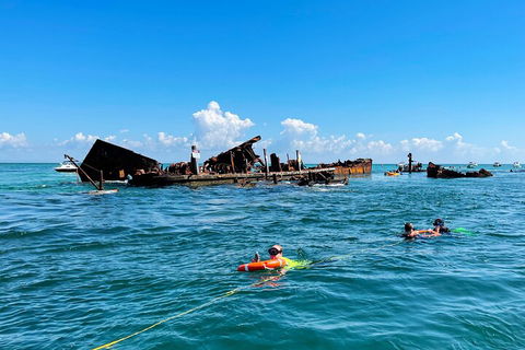 Best Of Moreton Bay Cruise - Dalby Accommodation 5