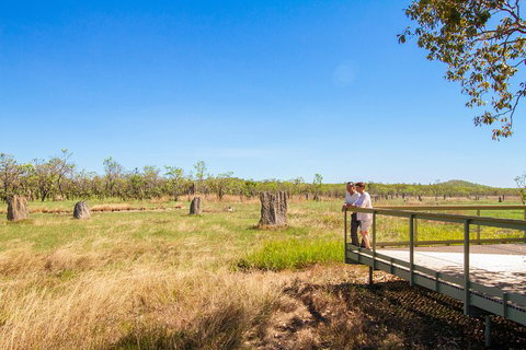 Litchfield National Park Day Tour From Darwin - Dalby Accommodation 3