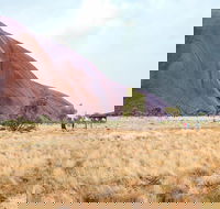 Uluru Sunrise and Guided Base Walk - Dalby Accommodation