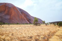 Uluru Sunrise and Guided Base Walk