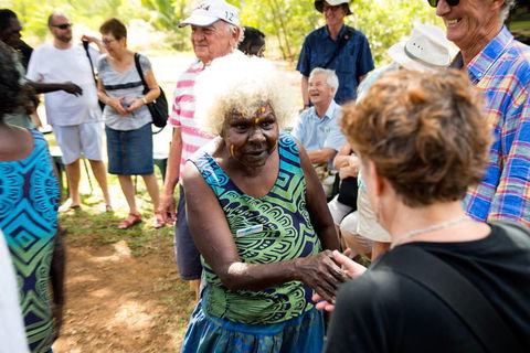 Tiwi Islands Cultural Experience From Darwin Including Ferry - Dalby Accommodation 0