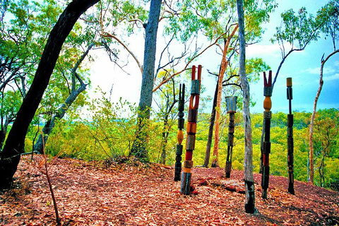 Tiwi Islands Cultural Experience From Darwin Including Ferry - Dalby Accommodation 3