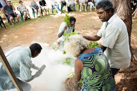 Tiwi Islands Cultural Experience From Darwin Including Ferry - Dalby Accommodation 4
