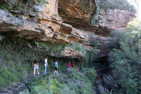 Blue Mountains Nature And Wildlife Day Tour From Sydney - Dalby Accommodation 2