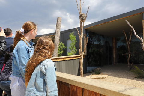 Blue Mountains Nature And Wildlife Day Tour From Sydney - Dalby Accommodation 3