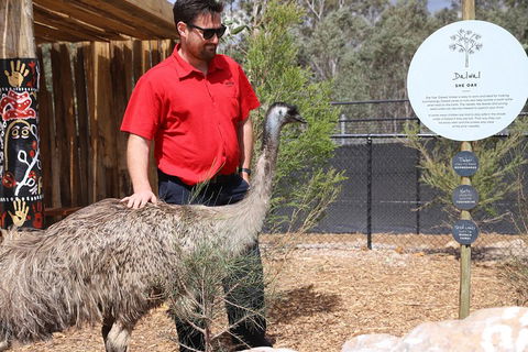 Blue Mountains Nature And Wildlife Day Tour From Sydney - Dalby Accommodation 5