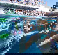 Great Barrier Reef Day Cruise from Cairns Including Snorkeling and Marine Biologist Presentation - Dalby Accommodation