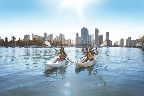 Brisbane Kayak Tour - Dalby Accommodation 0