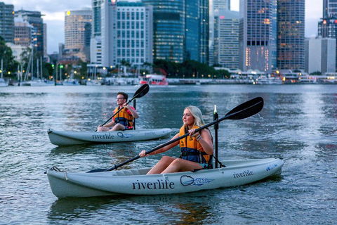 Brisbane Kayak Tour - Dalby Accommodation 3