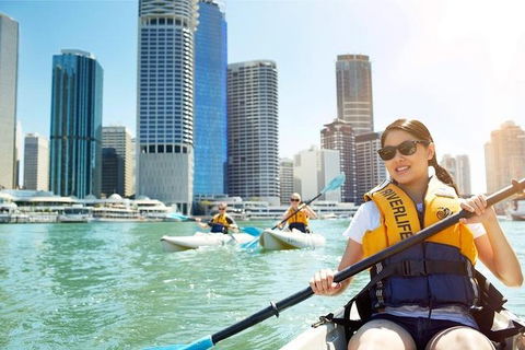 Brisbane Kayak Tour - Dalby Accommodation 5