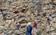 Rock Climbing At The Kangaroo Point Cliffs In Brisbane - thumb 2