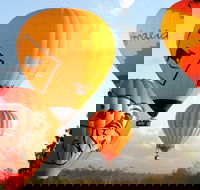 Natural Bridge  Springbrook Waterfalls Tour  Hot Air Balloon with Breakfast - Dalby Accommodation
