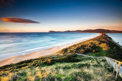 Bruny Island Private Charter Service - Dalby Accommodation 0
