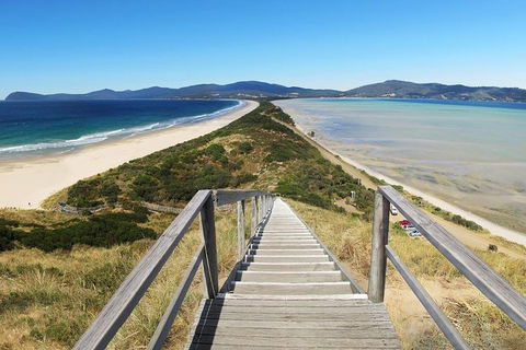 Bruny Island Private Charter Service - Dalby Accommodation 4