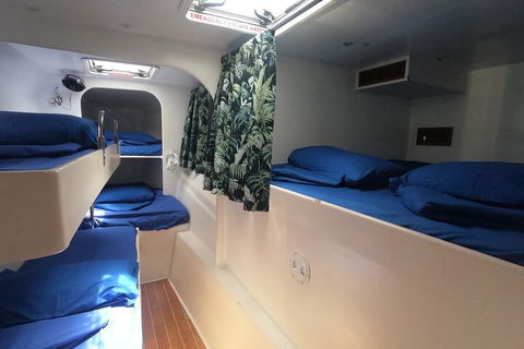 Sail, Snorkel, SUP & Kayak Charter Whitsundays - Dalby Accommodation 4