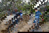 Fully guided E-Mountain Bike Tour on the beautiful Mornington Peninsula.