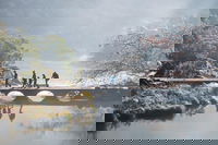 3.5 Hours Walking Tour to Cataract Gorge with Local Guide, Launceston