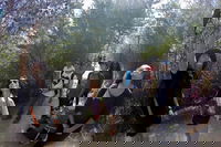 Active Day Tour One-Way from Launceston to Hobart via Wineglass Bay