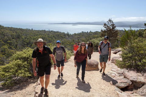 3-Day Tasmania Combo: Hobart To Launceston Active Tour - Dalby Accommodation 3
