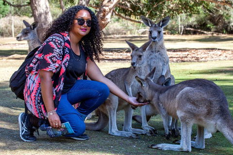 3-Day Tasmania Combo: Hobart To Launceston Active Tour - Dalby Accommodation 5