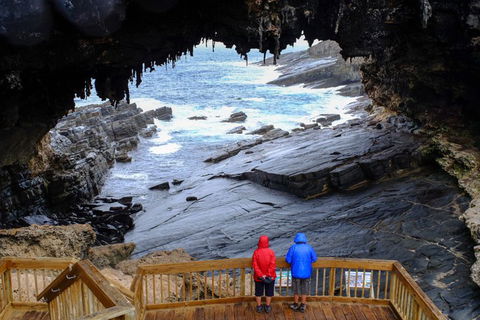 Full-Day Kangaroo Island Safari From Penneshaw - Dalby Accommodation 1