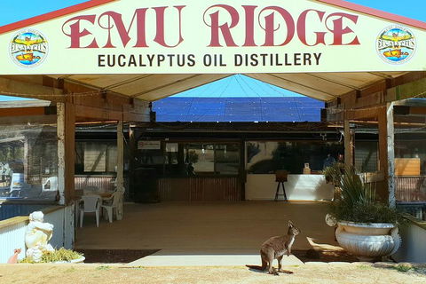 Full-Day Kangaroo Island Safari From Penneshaw - Dalby Accommodation 2