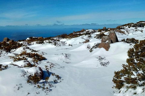 Mt Wellington Ultimate Experience Tour From Hobart - Dalby Accommodation 4