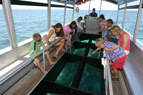 Green Island Discovery Including Glass Bottom Boat Tour Departing Cairns - Dalby Accommodation 5