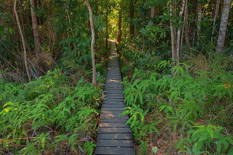 One Day Litchfield Park Adventures - Dalby Accommodation 4