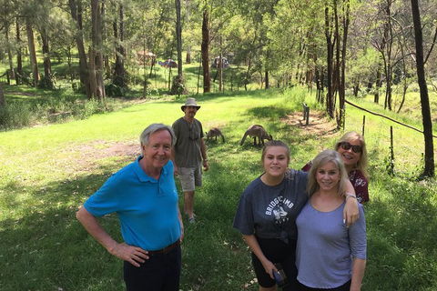 Small Group Blue Mountains Day Tour From Sydney - Dalby Accommodation 1