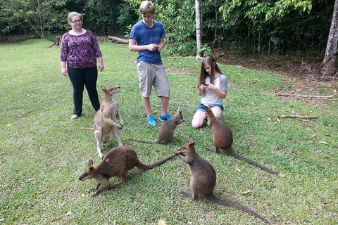 Small Group Blue Mountains Day Tour From Sydney - Dalby Accommodation 2