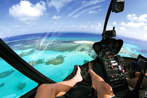 Private Coral Cay Bubbles Tour - Dalby Accommodation 1