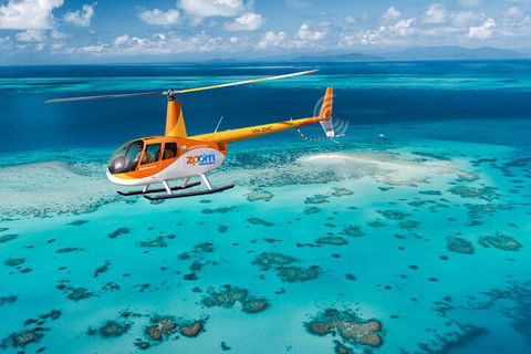 Private Coral Cay Bubbles Tour - Dalby Accommodation 5